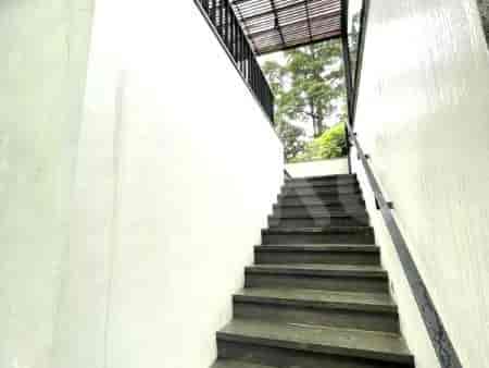 A staircase with modern design.