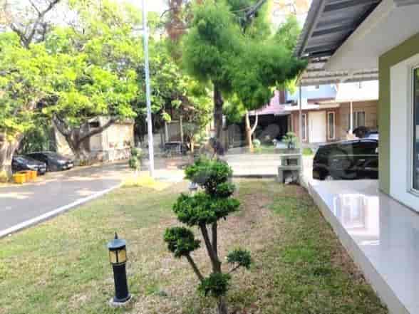 An outdoor view with a garden, road and trees.