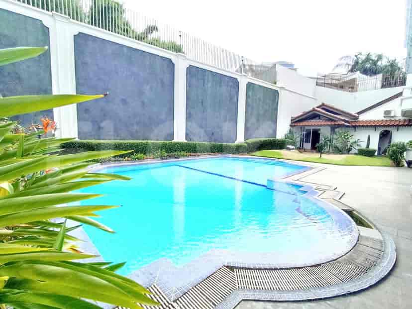 A view of the house's swimming pool, surrounded by greenery and a high wall.