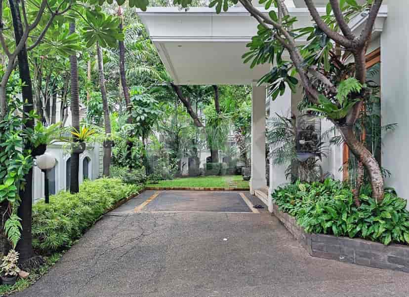 A driveway leading to a house, surrounded by lush greenery and trees.