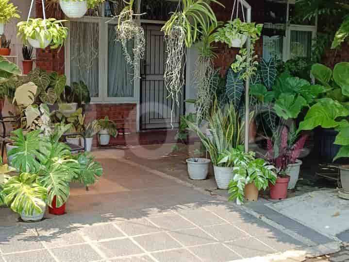 Disewakan Rumah 2 BR, Luas 250 m2 di Griya Serdang Indah, Tangerang - RHAb89 1