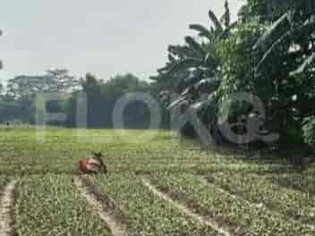 Disewakan Tanah Luas 1000 m2 di Jl Raya Utama, Bekasi Utara - TNR21b 3