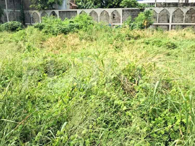 Disewakan Tanah Luas 790 m2 di Jl. Cempaka Putih Tengah, Cempaka Putih - TNR11e 2