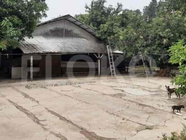 Disewakan Tanah Luas 3505 m2 di Jl Peta Barat Kalideres, Cengkareng - TNRec7 1