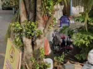 Disewakan Tanah Luas 2000 m2 di Jl Raya Duri Kosambi, Cengkareng - TNRf83 3
