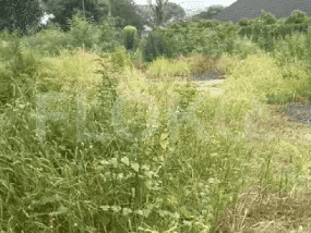 Disewakan Tanah Luas 2300 m2 di Jl Kedoya Raya, Kedoya - TNR9e6 2