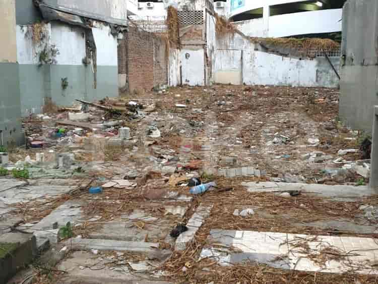 Disewakan Tanah Luas 700 m2 di Jalan Samahudin Raya, Pasar Baru - TNR8e1 1