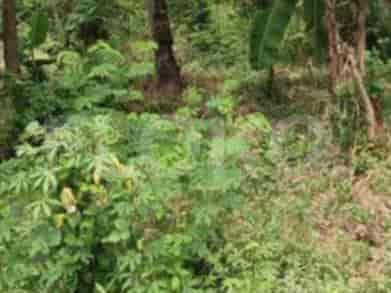 Dijual Tanah Luas 2735 m2 di Jatibening Baru, Dekat Tol, Bekasi - TNS1ed 2