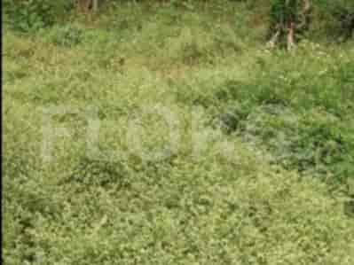 Dijual Tanah Luas 2735 m2 di Jatibening Baru, Dekat Tol, Bekasi - TNS1ed 3