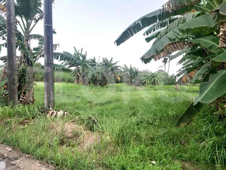 4200 sqm, Land for Sale in Kampung Bulak, Bekasi - TNS088 3