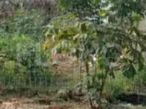 281 sqm, Land for Sale in Dekat ke Jalan Raya Kalimalang dan Tol Becakayu, Duren Sawit 3