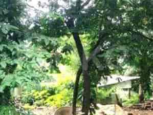 Dijual Tanah Luas 271 m2 di Jalan Mahmur, Bekasi - TNS9d0 3