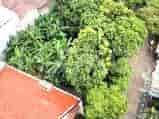 398 sqm, Land for Sale in Perumahan Di Pondok Kelapa, Duren Sawit 3