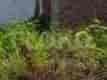 72 sqm, Land for Sale in Villa Gading Harapan 3, Bekasi - TNSa98 1