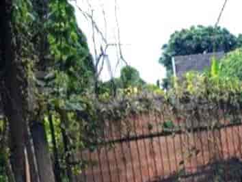 Dijual Tanah Luas 95 m2 di Jl Kedondong, Lenteng Agung 1