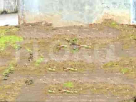 Dijual Tanah Luas 107 m2 di Dekat SMPN 10 Kota Bekasi, Bekasi 1