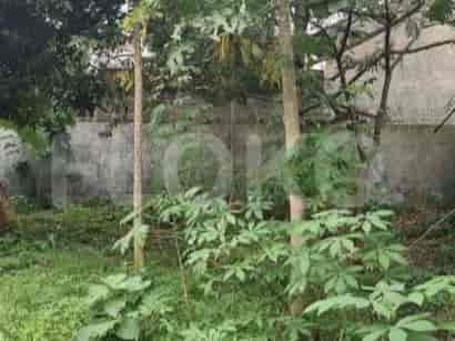 Dijual Tanah Luas 290 m2 di Jl Adhi Karya, Pancoran Mas 2
