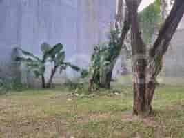 Dijual Tanah Luas 300 m2 di Jl Puri Botanical, Meruya 2