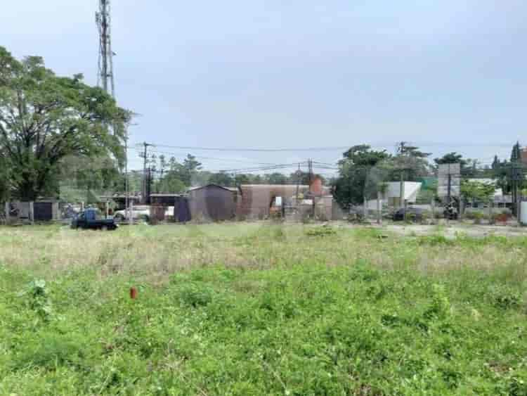 924 sqm, Land for Rent in Jl Raya Dramaga, Bogor - TNR897 2