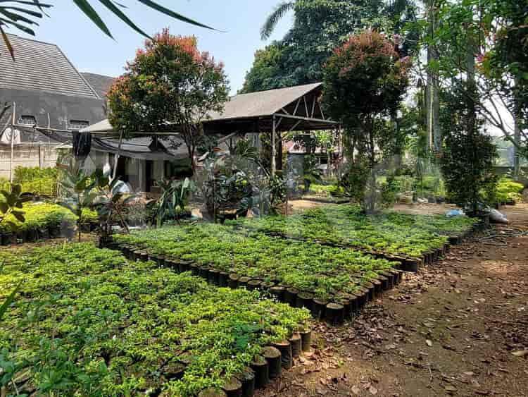 Dijual Tanah Luas 1623 m2 di Jl Raya Sawangan, Depok - TNS52a 1