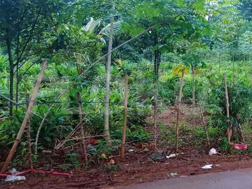 Dijual Tanah Luas 715 m2 di Dekat dengan jalan Mekarsari dan rencana pintu JORR 2, Bekasi 1