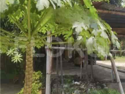 1000 sqm, Land for Rent in Jl Raya Ciater, Ciputat - TNRfd1 3