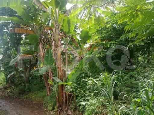 Dijual Tanah Luas 341 m2 di Jl Raya Mampang, Pancoran Mas 3