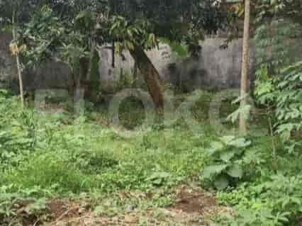 Dijual Tanah Luas 290 m2 di Jl Adhi Karya, Pancoran Mas 1