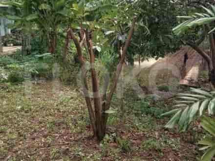 Dijual Tanah Luas 83 m2 di Jl Raya Mampang, Mampang - TNSd4c 2