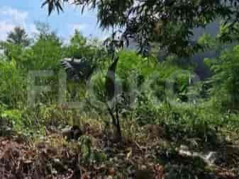 182 sqm, Land for Sale in Jl Raya Cinere, Cinere 3