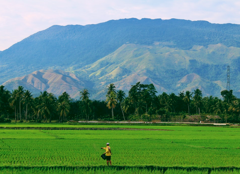 7 Promising Industries in Indonesia