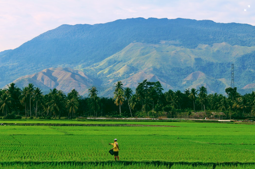 Agriculture Industry