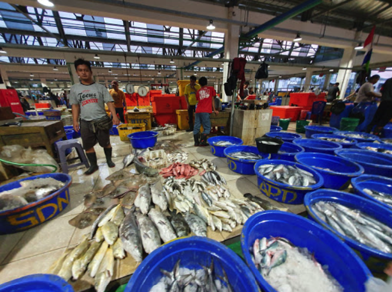 Fish Markets Jakarta Pasar Muara Baru
