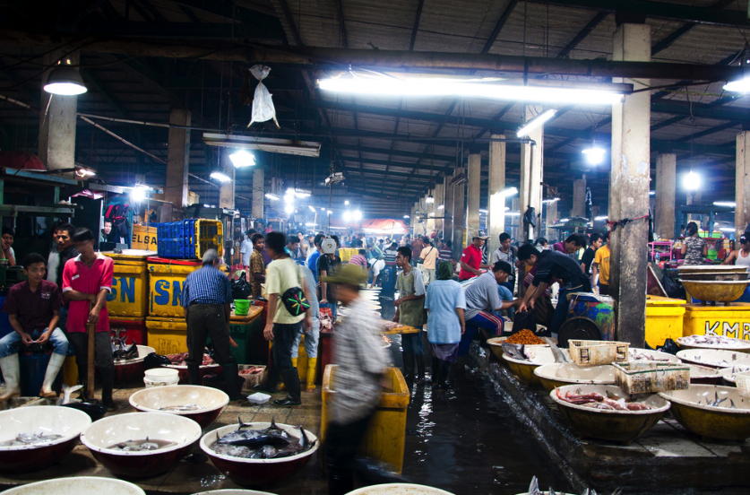 Fish Markets Jakarta Pasar Muara Angke