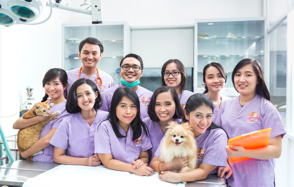 Groovy Vet Care clinic