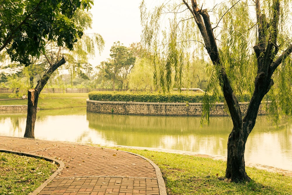 cattleya park jogging tracks jakarta