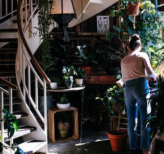 10 Ways to Make Your Apartment Eco-friendly