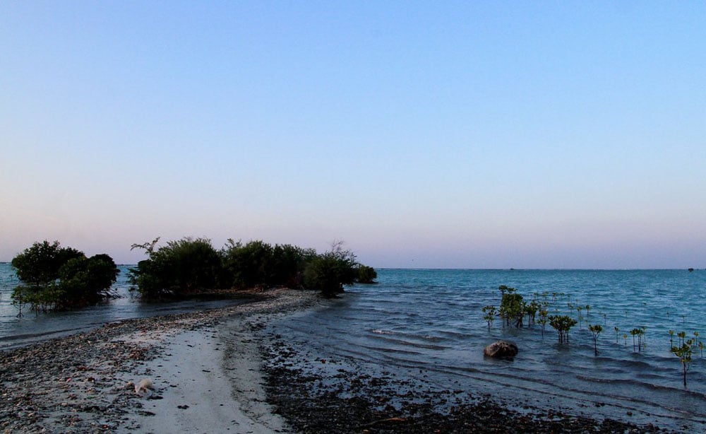 pulau pari