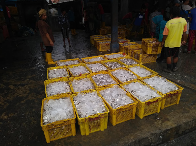 Best Fish Markets in Tangerang