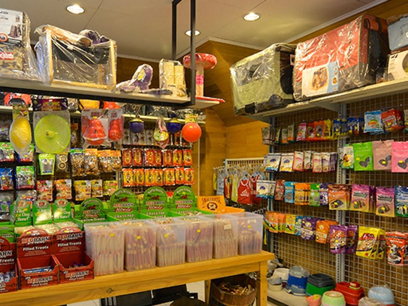 7 Recommended Pet Stores in Jakarta | Flokq Blog