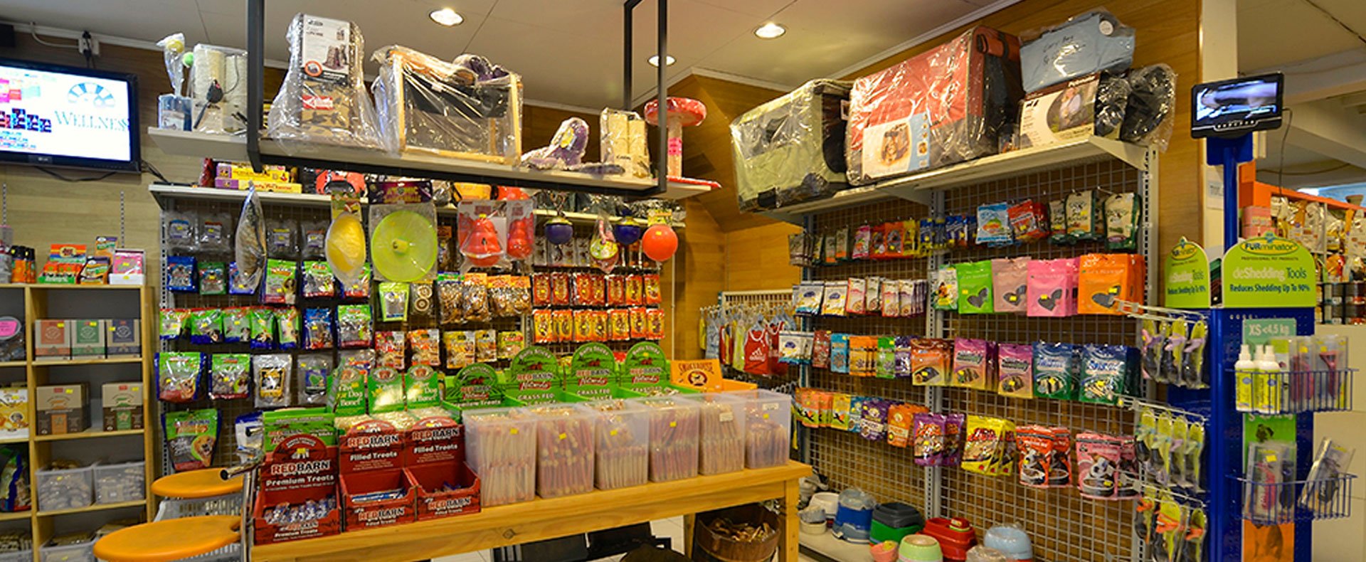 7 Recommended Pet Stores in Jakarta | Flokq Blog