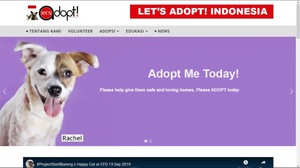 lets adopt animal rescue group jakarta