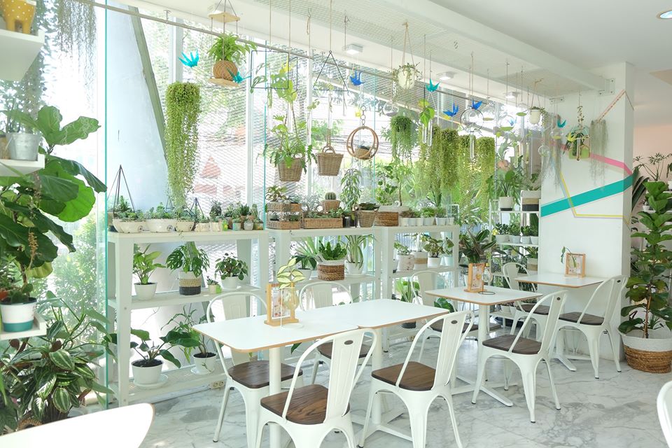 Best Plant Shops in Jakarta | Flokq Coliving Jakarta Blog