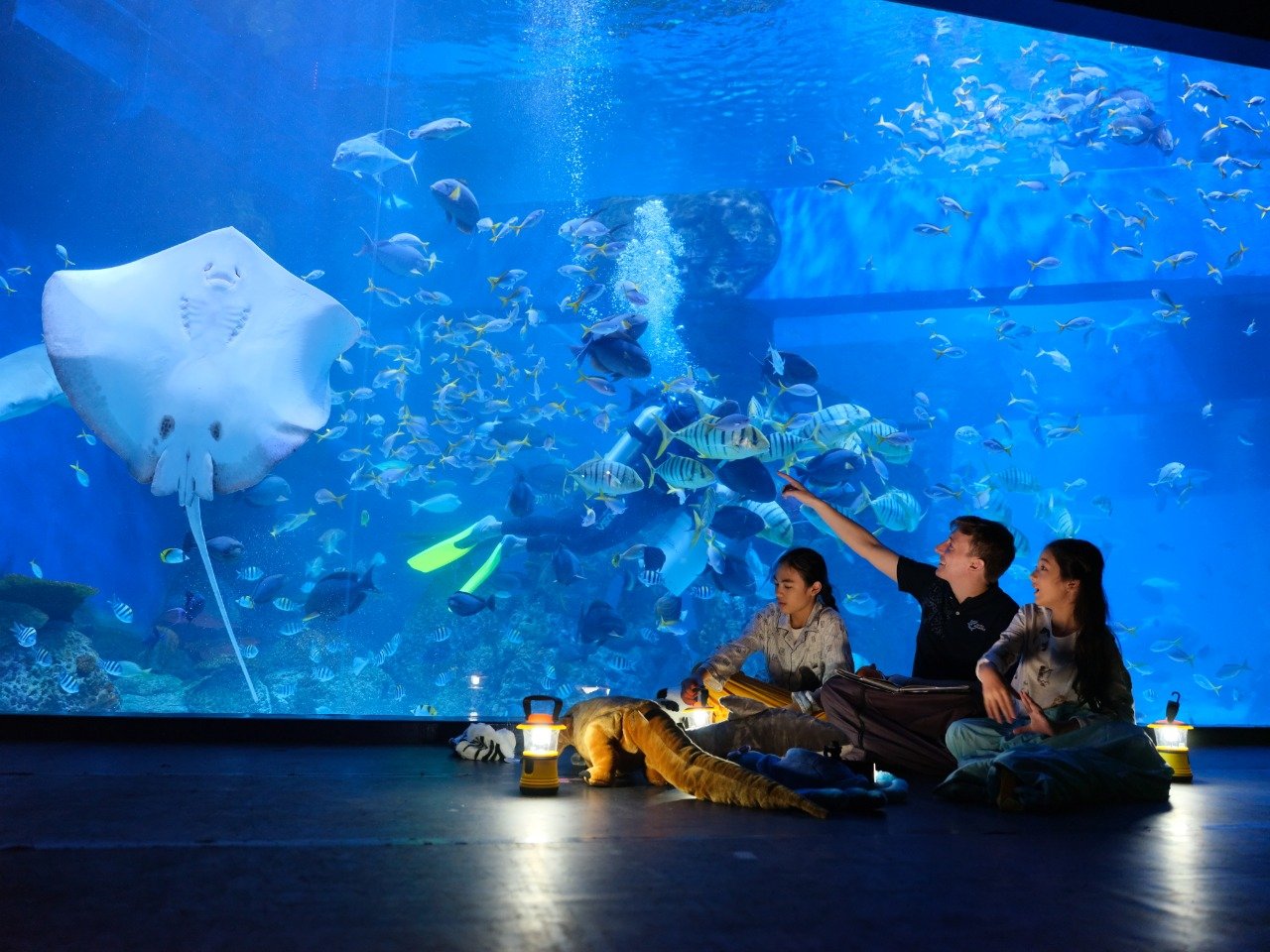 Visit The Best Zoo and Aquariums in Jakarta! | Flokq Blog