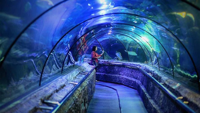 Visit The Best Zoo and Aquariums in Jakarta! | Flokq Blog
