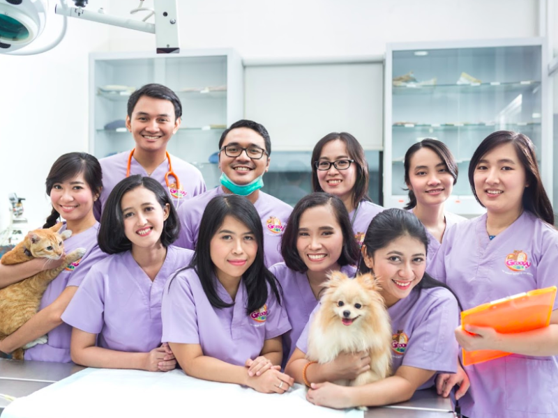 Klinik Dokter Hewan Berbahasa Inggris Terbaik di Jakarta