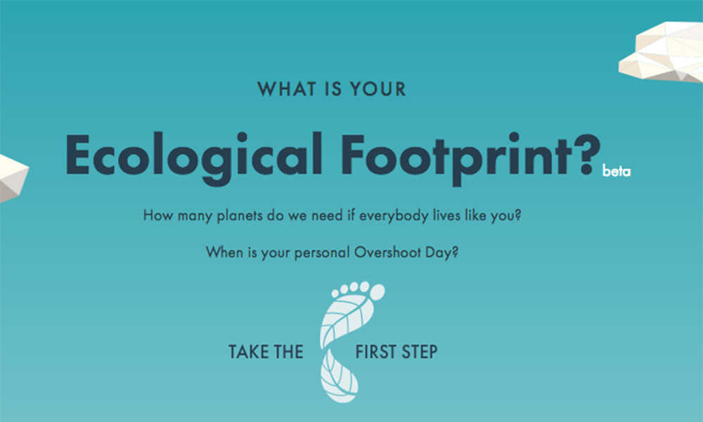 track your ecological footprint