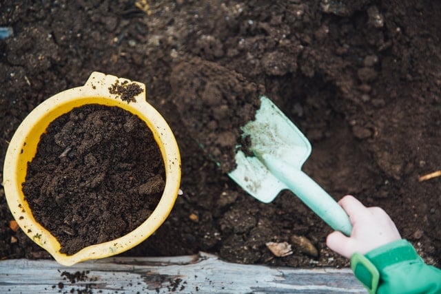 turn your used newspaper as compost