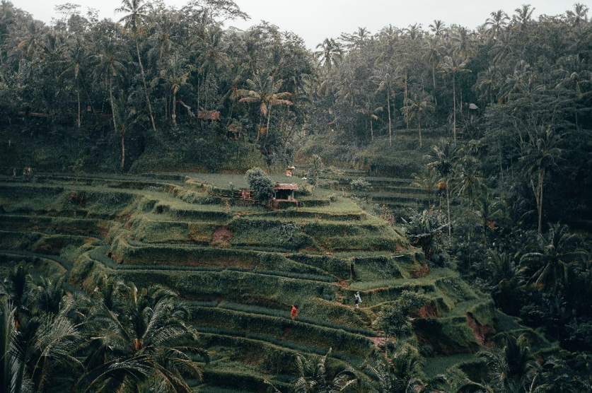 tegalalang hiking bali