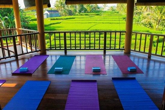 Ubud Yoga House bali